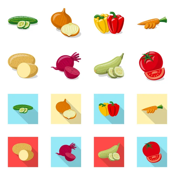 Векторная иллюстрация символа овощей и фруктов. Набор вегетарианских вегетарианских векторных икон на складе . — стоковый вектор