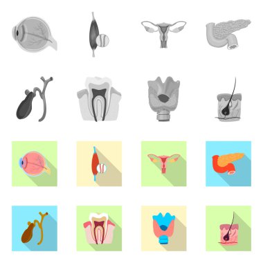 Vücut ve insan logo yalıtılmış nesne. Vücut ve web için tıbbi hisse senedi simgesi.