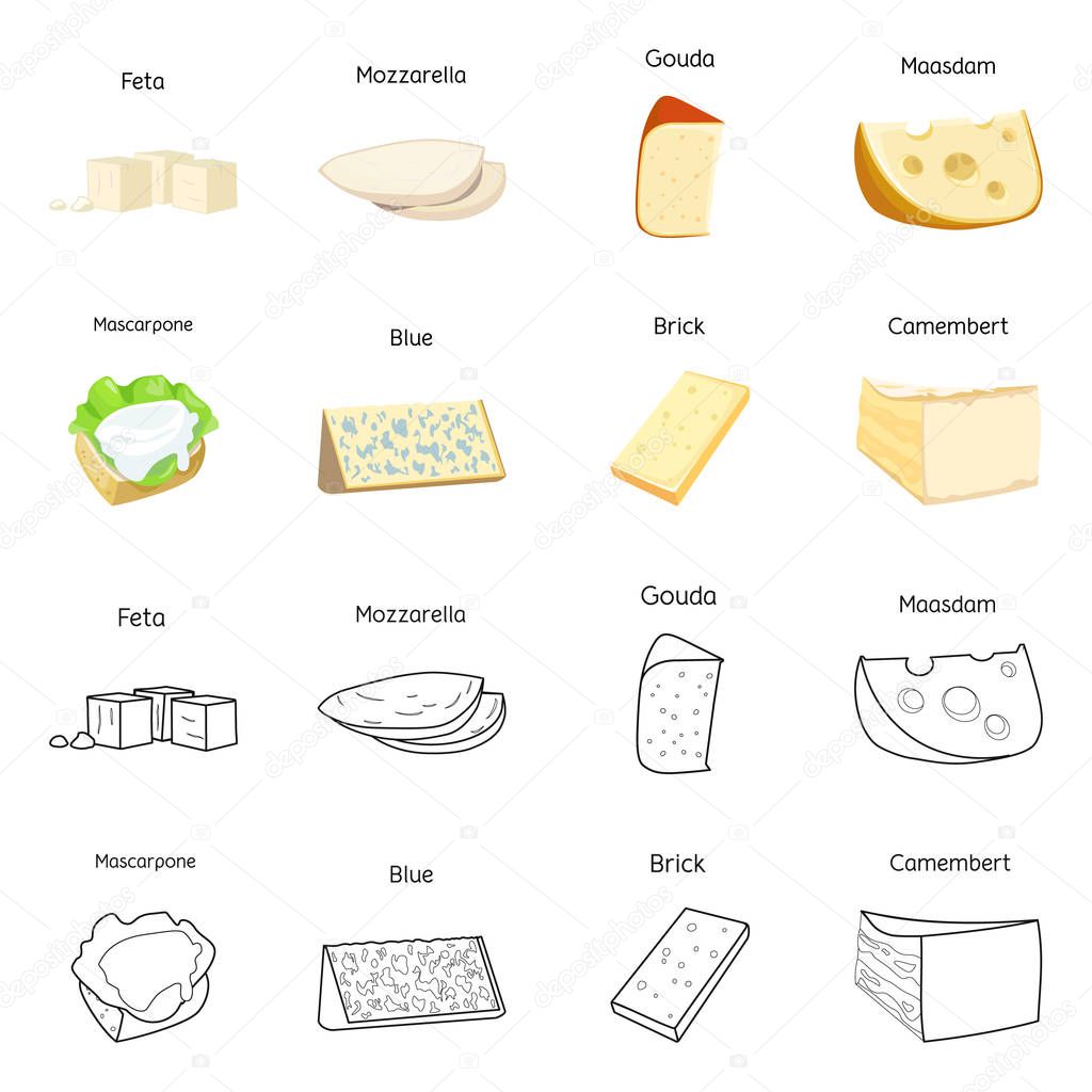 Vector illustration of product and milk sign. Collection of product and snack stock symbol for web.
