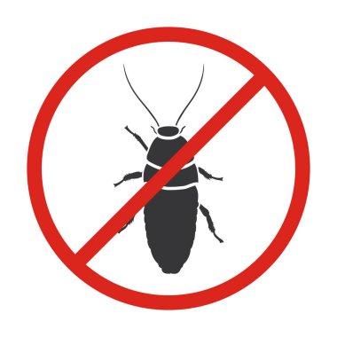 Hamamböceği madagaskar vektör simgesi. Siyah vektör simgesi beyaz arka plan hamamböceği madagaskar üzerinde izole edildi .