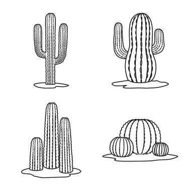 Bitkisel ve iç işaretlerin vektör çizimi. Stok için bitkisel ve çöl vektör ikonu koleksiyonu.