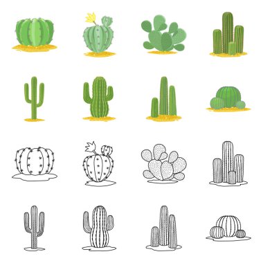 Botanik ve vaha logosunun vektör tasarımı. Botanik ve bitkisel stok vektörü çizimi.