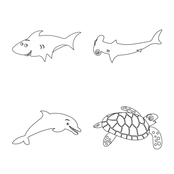 Projeto vetorial do ícone do mar e dos animais. Coleção de mar e símbolo de estoque marinho de web . — Vetor de Stock