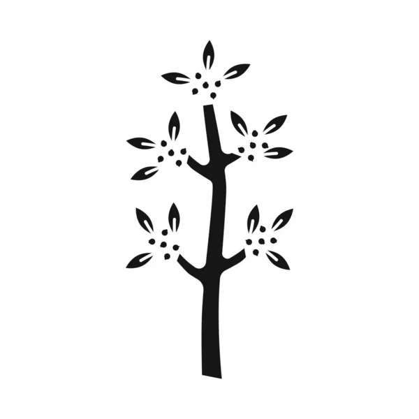 Wektor projekt ikony drzewa i kawy. Zestaw ikon wektorowych drzew i roślin dla zapasów. — Wektor stockowy