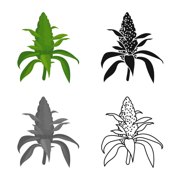 Plant Silhouette Images – Browse 1,456 Stock Photos, Vectors, and
