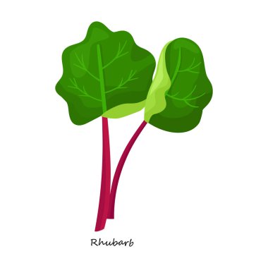 Rubarb vektör simgesi. Karikatür vektör simgesi beyaz arkaplan rhubarb üzerinde izole edildi.