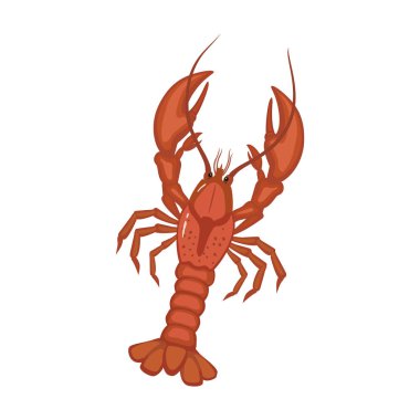 Istakoz vektör simgesi. Karikatür vektör simgesi beyaz arka plan ıstakozunda izole edilmiş..