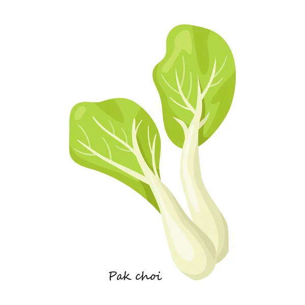 Lechuga pak vector icon.Cartoon icono del vector aislado sobre fondo blanco lechuga pak  . — Vector de stock