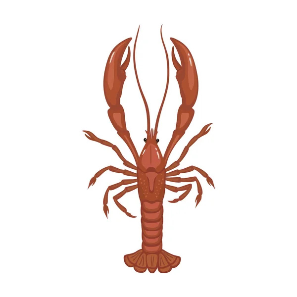 Ikon vektor Lobster. Ikon vektor kartun diisolasi pada lobster latar belakang putih . - Stok Vektor
