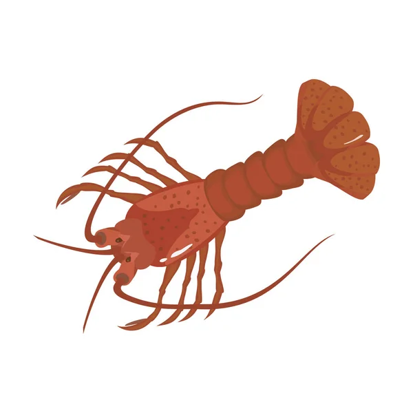 Ícone vetorial de lagosta Ícone vetorial de desenhos animados isolado no fundo branco lagosta . — Vetor de Stock