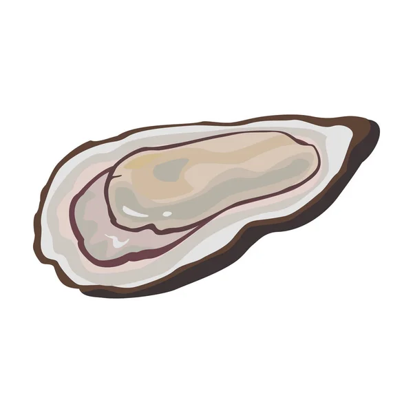 Oyster vector icon.Cartoon vector icon isolated on white background oyster. — Stock Vector