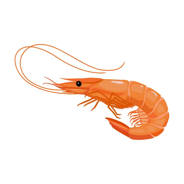Shrimp Vector icon.cartoon Vektor-Symbol isoliert auf weißem Hintergrund Garnelen . — Stockvektor