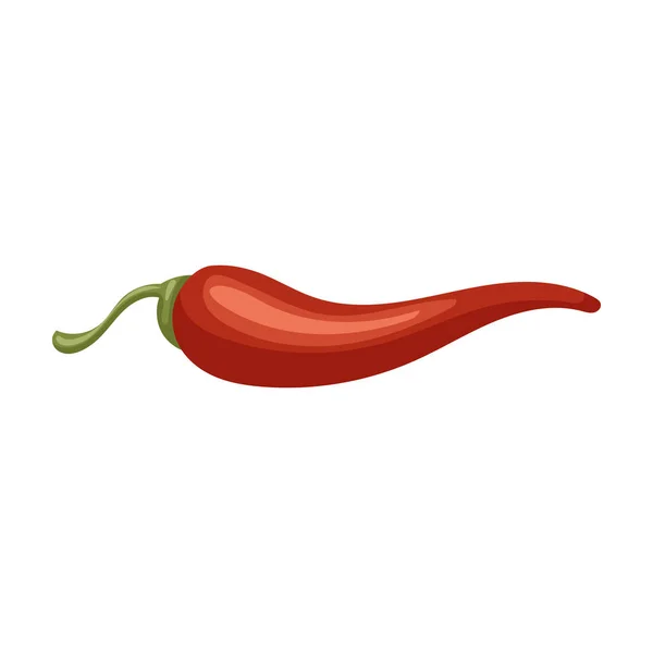 Pittige peper vector icon.Cartoon vector pictogram geïsoleerd op witte achtergrond pittige peper . — Stockvector