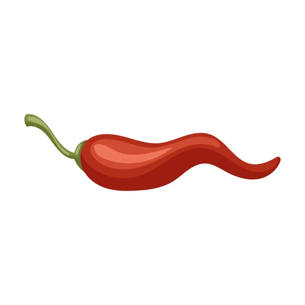 Icono de vector de chili de pimienta. Icono de vector de dibujos animados aislado sobre fondo blanco pimienta chile  . — Archivo Imágenes Vectoriales