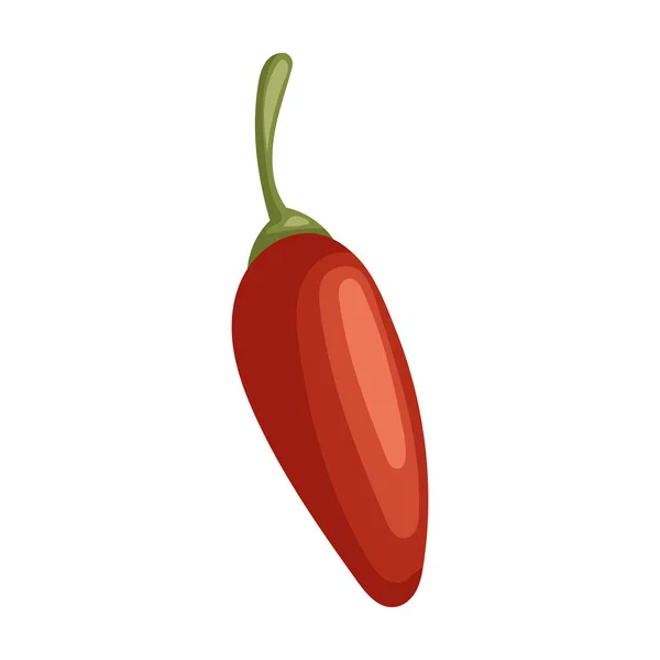 Ícone vetorial de pimenta picante.Ícone vetorial de desenhos animados isolado no fundo branco pimenta picante . —  Vetores de Stock