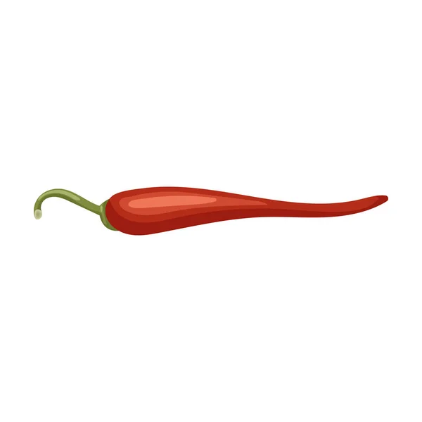 Πικάντικο διάνυσμα πιπεριού εικονίδιο φορέα κινουμένων σχεδίων απομονωμένο σε λευκό φόντο πικάντικο πιπέρι . — Διανυσματικό Αρχείο