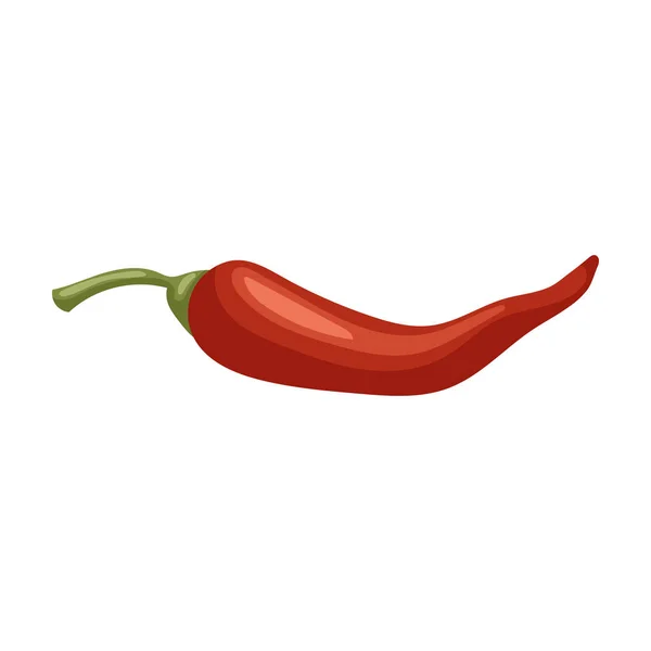 Pepper τσίλι διάνυσμα εικόνα.Cartoon διάνυσμα εικονίδιο απομονώνονται σε λευκό φόντο πιπέρι τσίλι . — Διανυσματικό Αρχείο