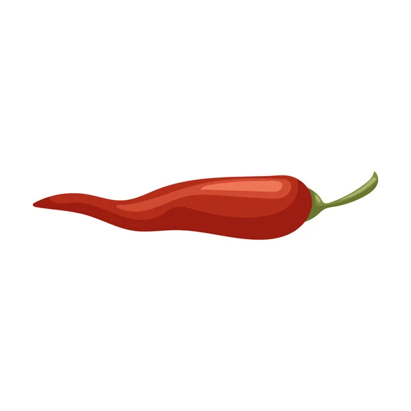 Kryddig peppar vektor ikon.Tecknad vektor ikon isolerad på vit bakgrund kryddig peppar . — Stock vektor