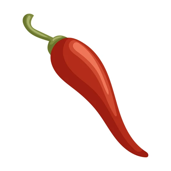 Pfeffer Chili Vektor icon.cartoon Vektor Symbol isoliert auf weißem Hintergrund Pfeffer Chili . — Stockvektor