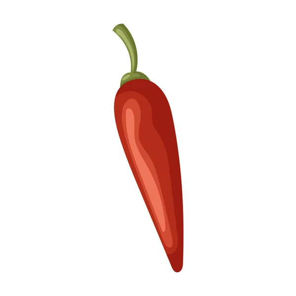 Πικάντικο διάνυσμα πιπεριού εικονίδιο φορέα κινουμένων σχεδίων απομονωμένο σε λευκό φόντο πικάντικο πιπέρι . — Διανυσματικό Αρχείο