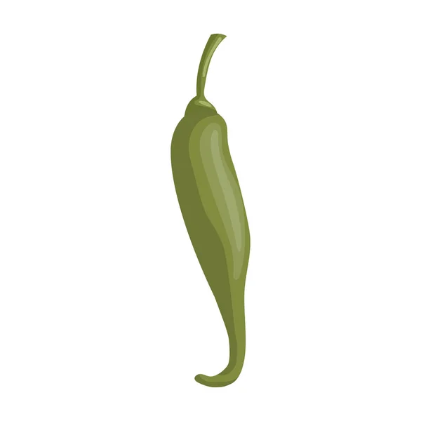 Pepper chili vector icon.Cartoon vector icon isolated on white background pepper chili . — ストックベクタ