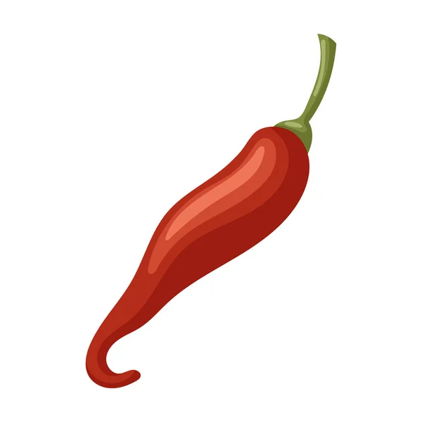 Ícone vetorial de pimenta picante.Ícone vetorial de desenhos animados isolado no fundo branco pimenta picante . —  Vetores de Stock