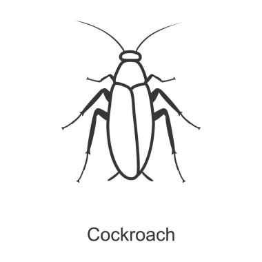 Böcek hamamböceği vektör simgesi. Çizgi vektör simgesi beyaz arka plan hamamböceği üzerinde izole edildi.