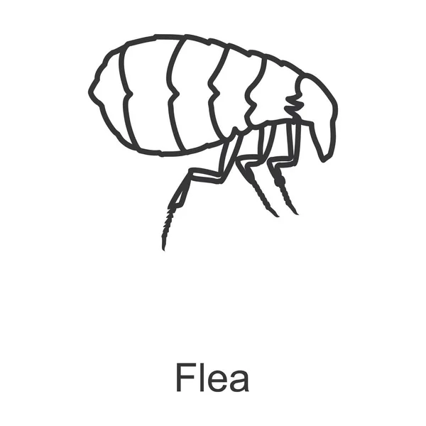 Иконка вектора блох. Иконка вектора линии выделена на белом фоне блох . — стоковый вектор