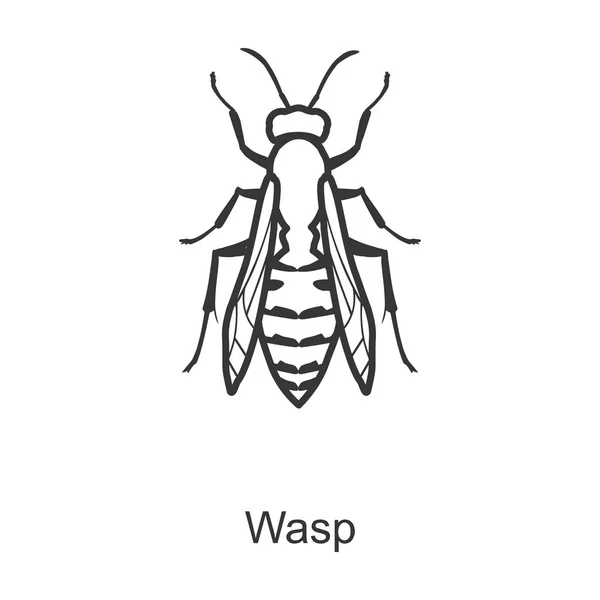 Wasp vector icon.Line vector pictogram geïsoleerd op witte achtergrond wesp. — Stockvector