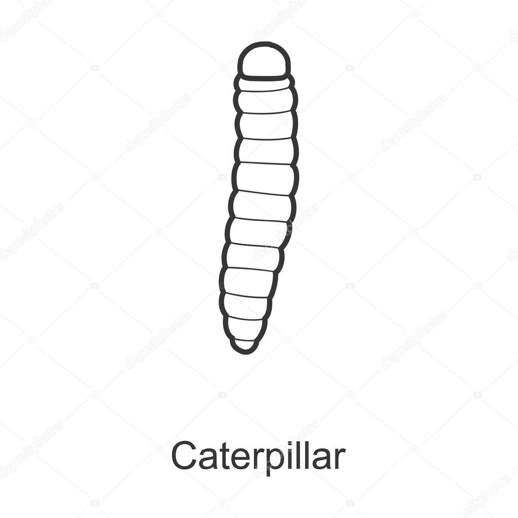 Caterpillar vector icon.Line vector icon isolated on white background caterpillar .