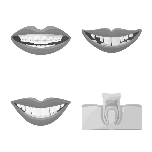 Conception vectorielle de stomatologie et icône du dentiste. Ensemble d'icône vectorielle stomatologie et dentisterie pour stock . — Image vectorielle