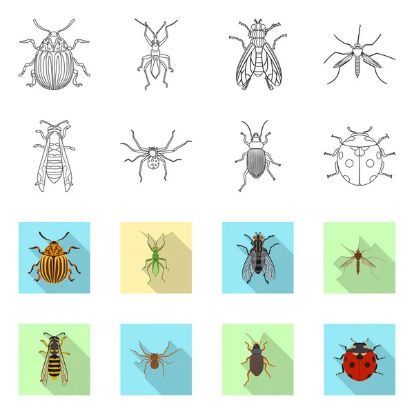 Diseño vectorial del logotipo de insectos y moscas. Colección de insectos y símbolo de stock de elementos para la web . — Vector de stock
