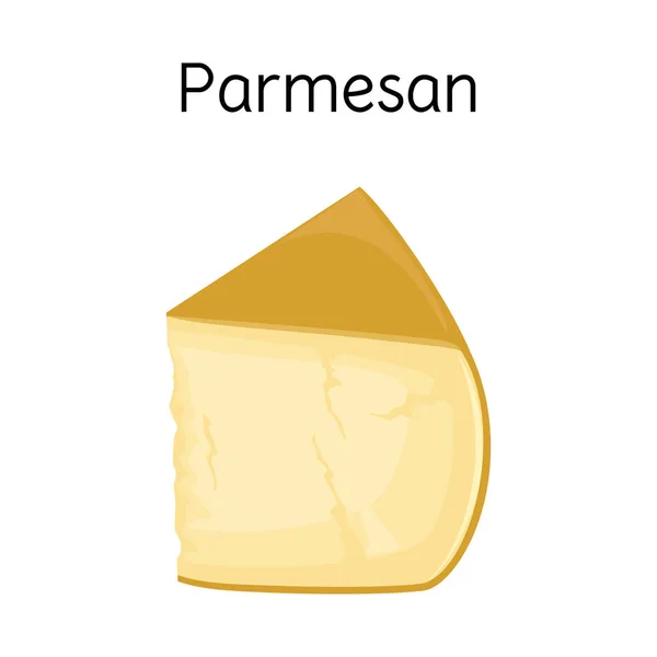 Diseño vectorial de queso y signo parmesano. Elemento Web de queso y aperitivo vector de stock ilustración . — Archivo Imágenes Vectoriales