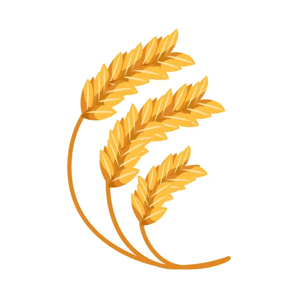 Vector illustration of wheat and farming icon. Collection of wheat and product stock symbol for web. — Stock Vector