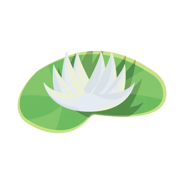 Ilustración vectorial del icono de flor y loto. Conjunto de flor y hoja símbolo de stock para web . — Vector de stock
