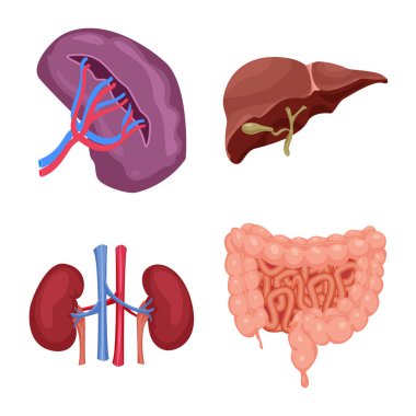 Vücut ve insan simge vektör Illustration. Vücut ve tıbbi hisse senedi vektör çizim koleksiyonu.