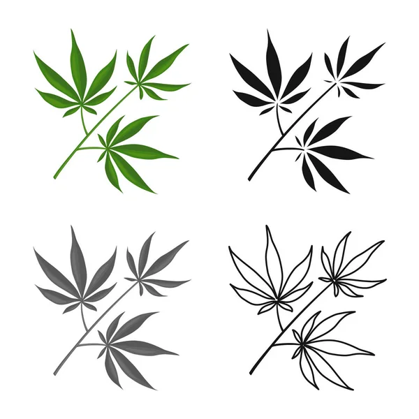 Векторный дизайн марихуаны и знака листьев. Веб-элемент марихуаны и векторной иконки растительности на складе . — стоковый вектор
