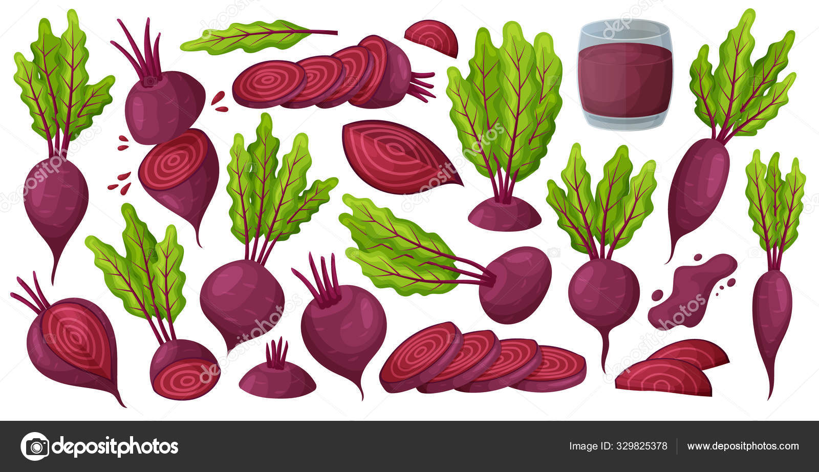 Vegetable of beet vector cartoon set icon. Vector illustration beetroot  root on white background .Isolated cartoon set icon food of beet. Stock  Vector Image by ©magicleaf #329825378