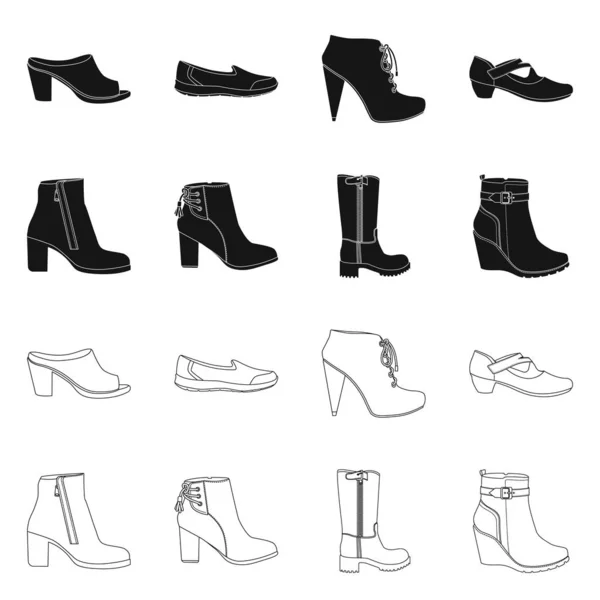 Vektor desain alas kaki dan logo wanita. Collection of footwear and foot stock vector illustration . - Stok Vektor