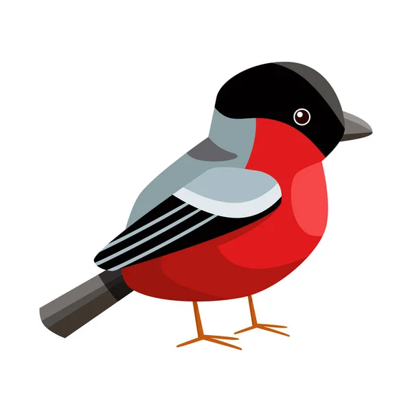 Objeto isolado de bullfinch e logotipo de pássaro. Conjunto de bullfinch e robin vetor ícone para estoque . — Vetor de Stock