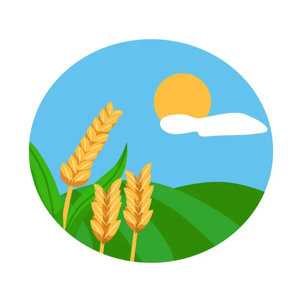Izolovaný objekt krajiny a označení pšenice. Sada symbolů na šířku a na poli pro web. — Stockový vektor