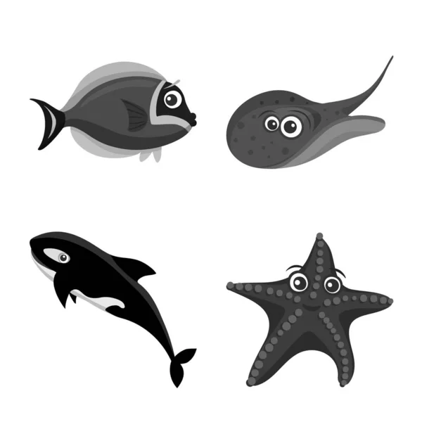 Objeto aislado de mar y símbolo animal. Conjunto de ilustración de vectores marinos y marinos . — Archivo Imágenes Vectoriales