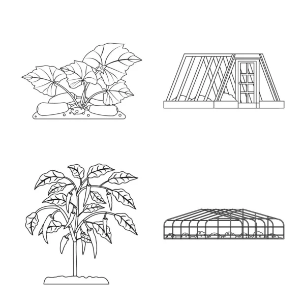 Vektoros illusztráció üvegházhatást okozó és növényi ikonra. Üvegházhatást okozó és kerti tőzsdei szimbólum a web. — Stock Vector