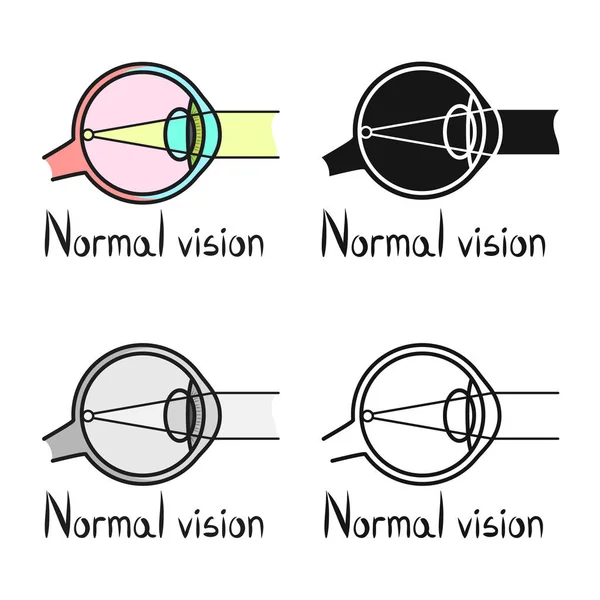 Objeto aislado del globo ocular y el icono del órgano. Elemento web del globo ocular y la vista símbolo de stock para la web . — Archivo Imágenes Vectoriales