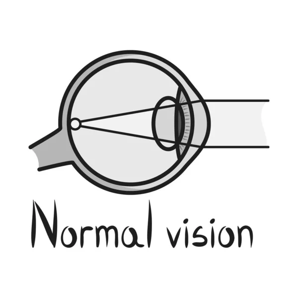 眼球と臓器の標識のベクトル図。眼球と視力の画像ベクトル図. — ストックベクタ