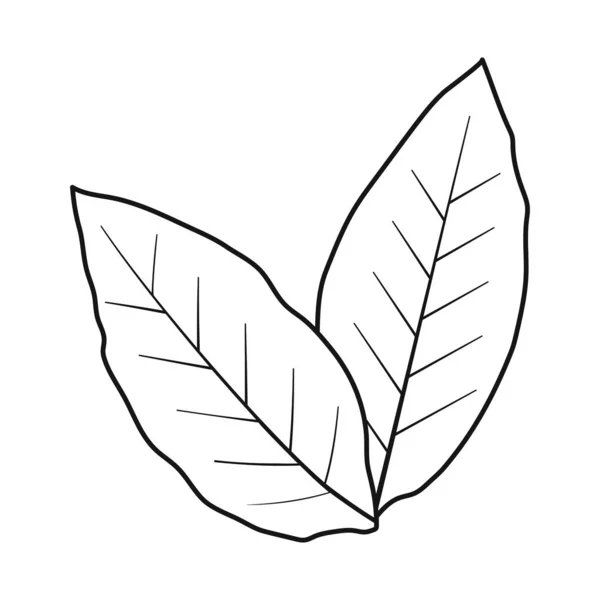 Ilustración vectorial del logotipo de hoja y verde. Elemento web de hoja y té símbolo de stock para web . — Archivo Imágenes Vectoriales