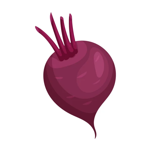 Beetroot vector icon.Cartoon vector icon isolated on white background beetroot . — 스톡 벡터