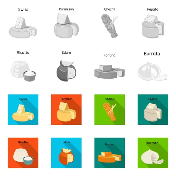 Conception vectorielle de la nourriture et du symbole laitier. Collecte de nourriture et illustration vectorielle du stock de produits . — Image vectorielle