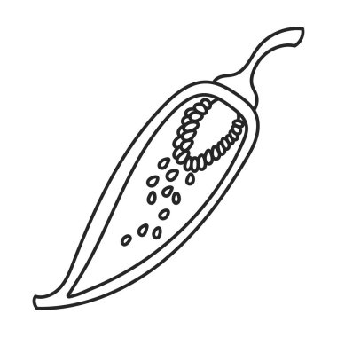 Baharatlı biber vektör simgesi. Çizgi vektör simgesi beyaz arkaplan baharatlı biber üzerinde izole edildi .