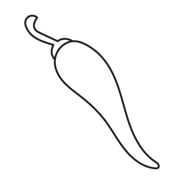 Icône vecteur de poivre épicé. Icône vectorielle ligne isolée sur fond blanc poivre épicé  . — Image vectorielle
